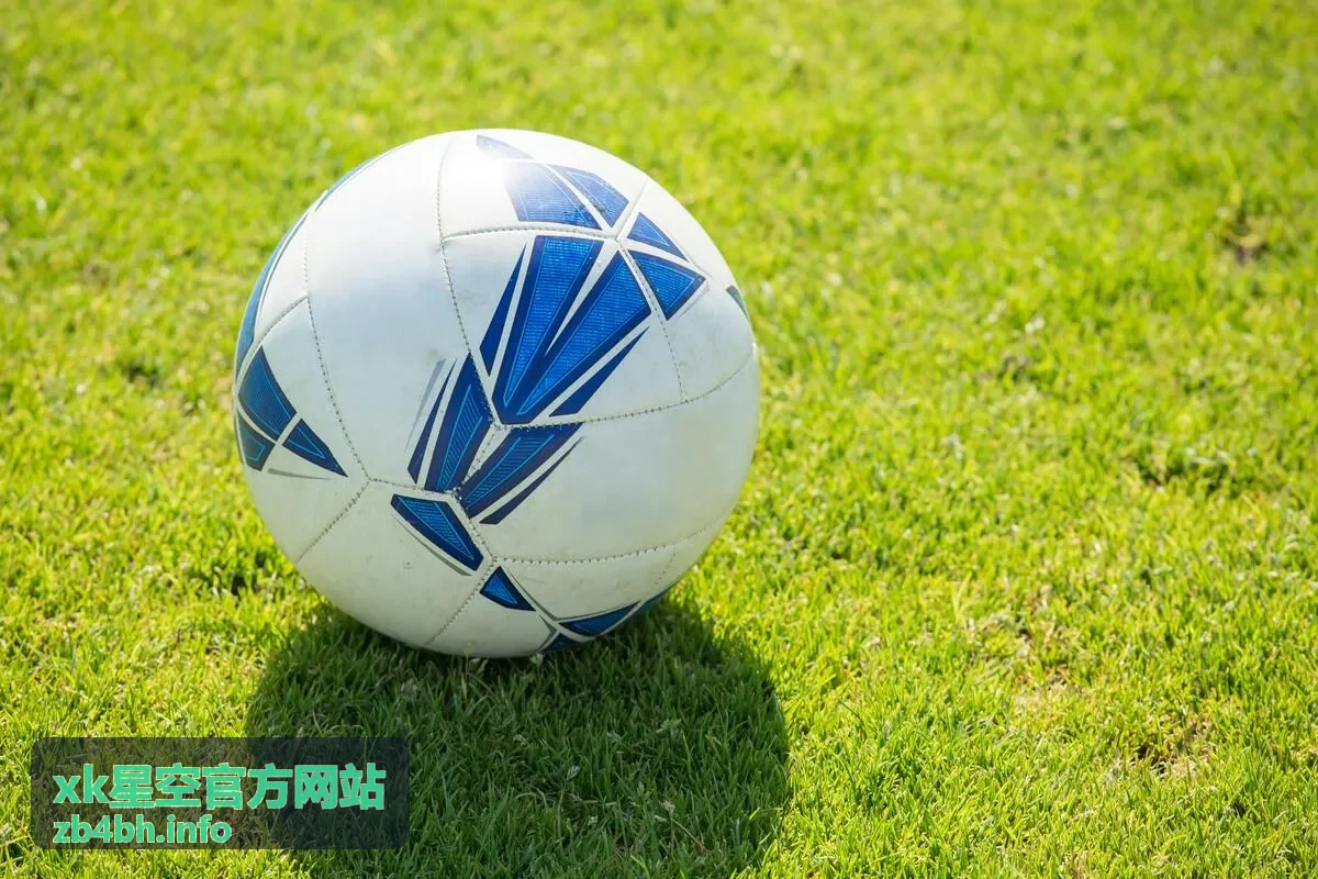 xk星空官方网站 - 悬疑烧脑片单封面